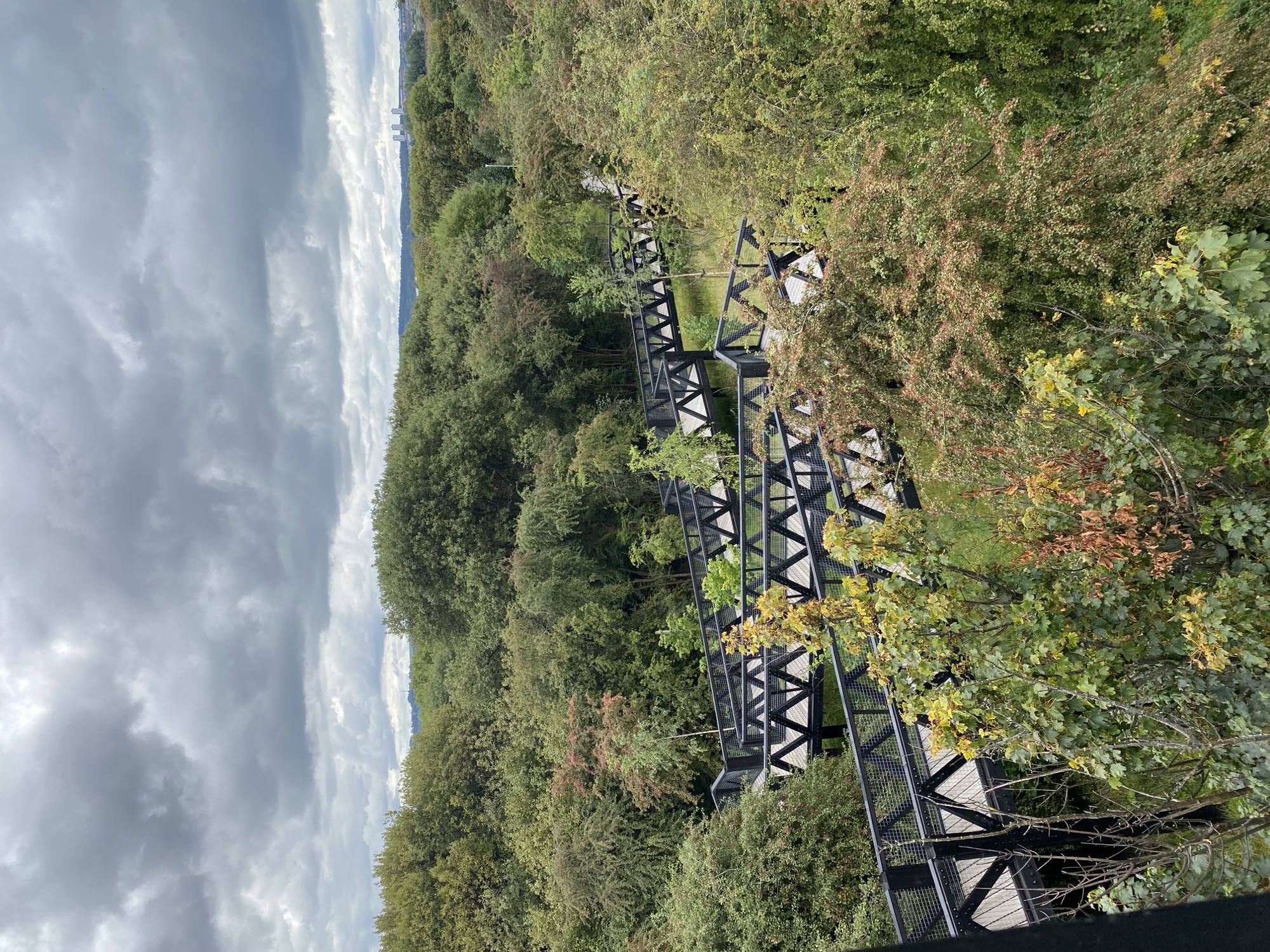 IMG_2568[1].jpeg