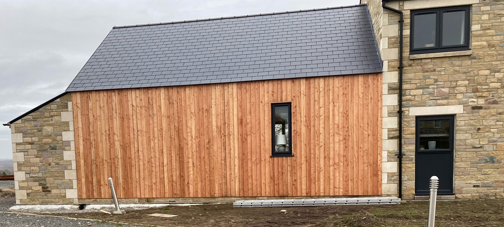 European Larch PAR.jpg