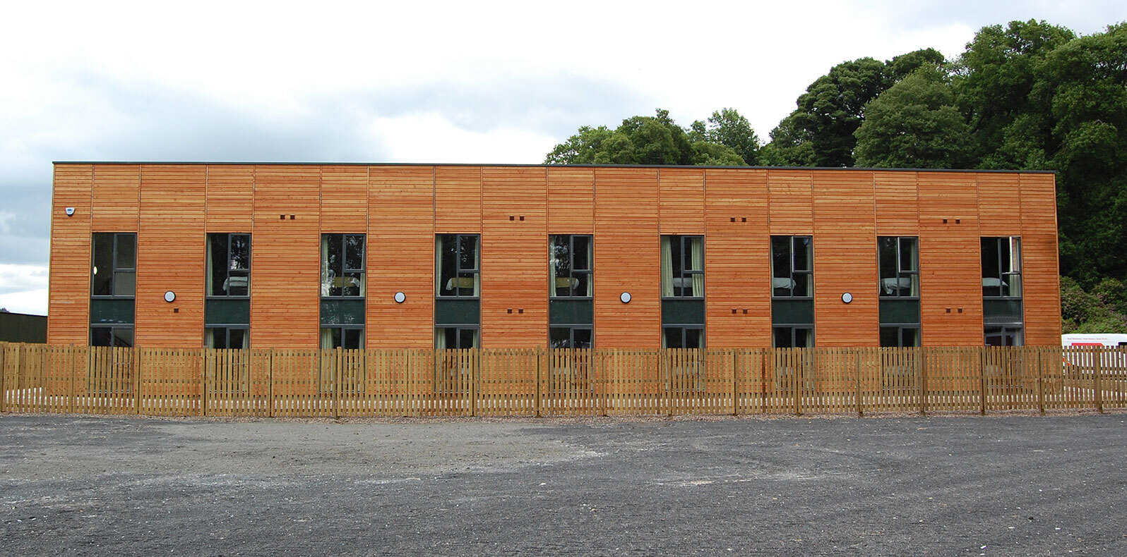 scottish_larch1.jpg