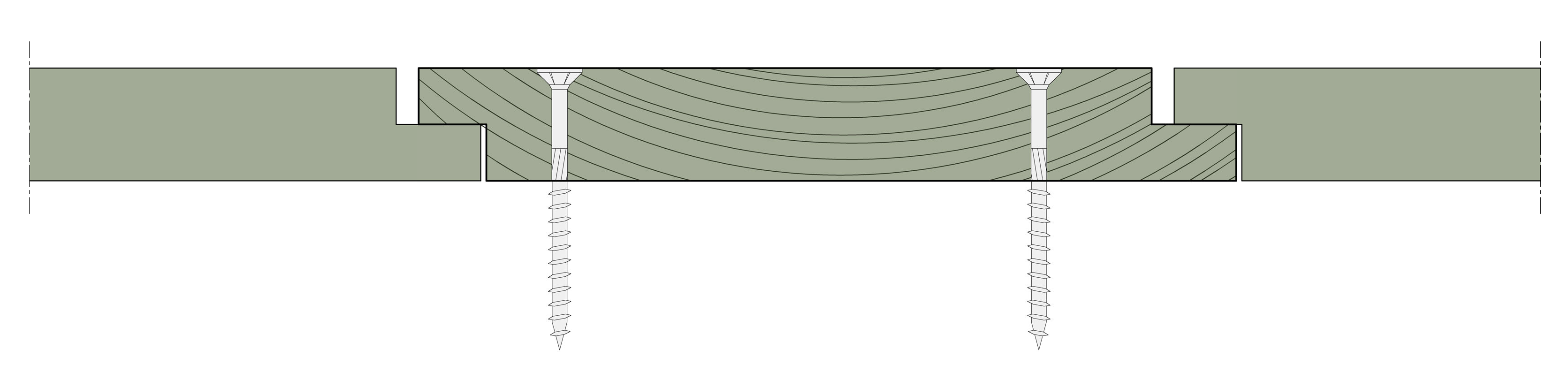 HL 20x145_face fix_colour.png