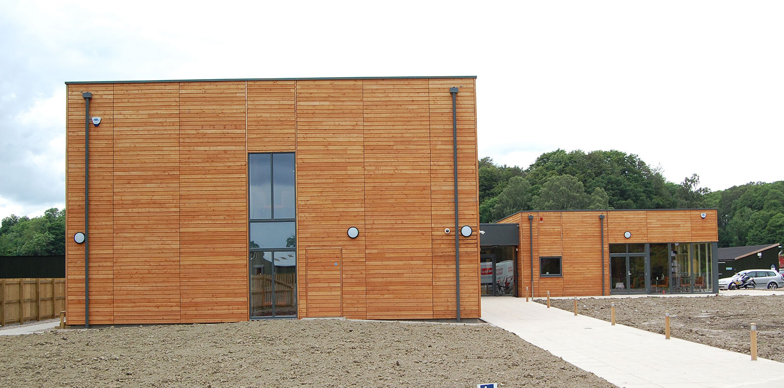 scottish_larch3.jpg