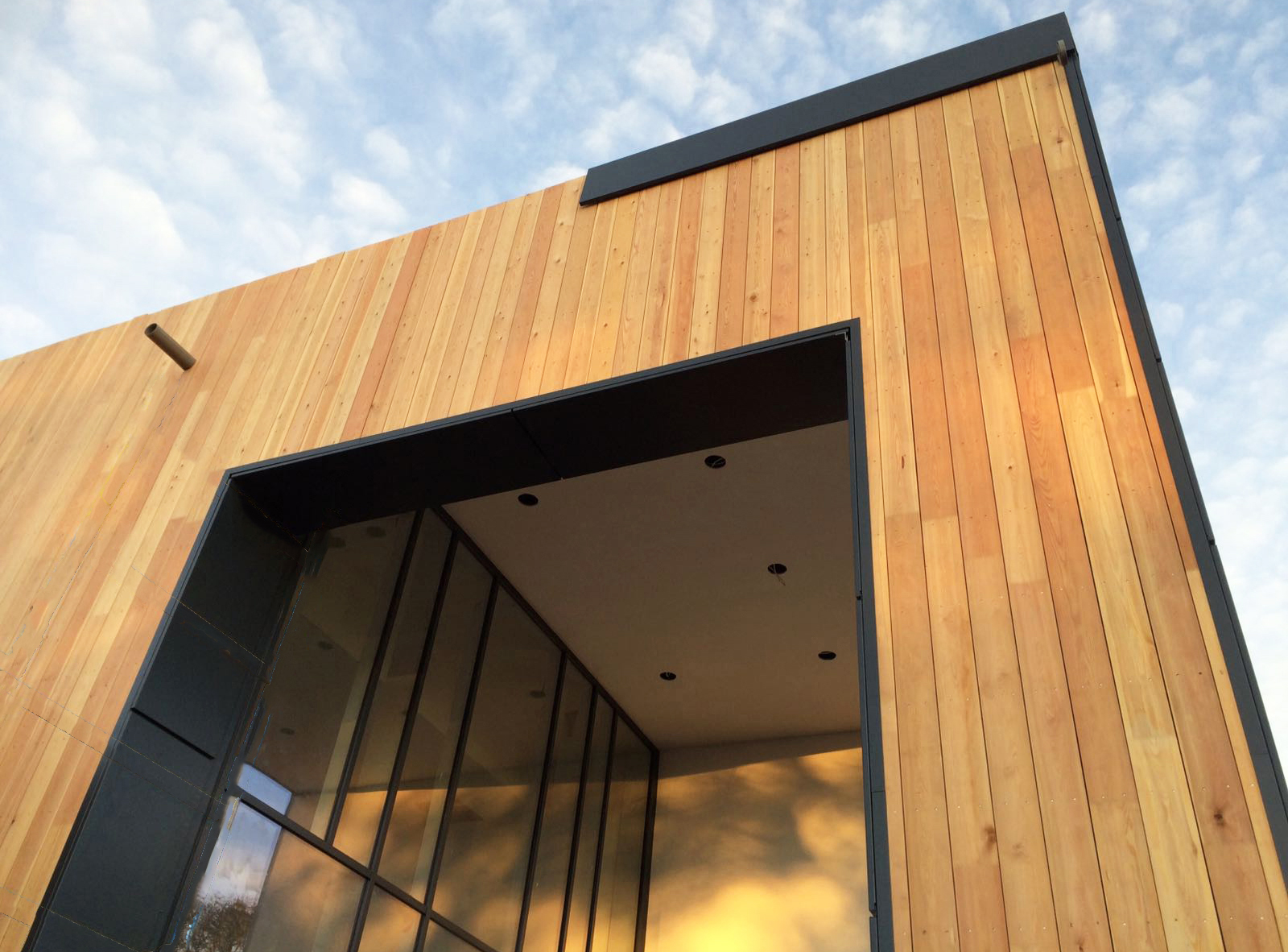 Edinburgh Royal Infirmary Extension - Siberian Larch 934x690.jpg